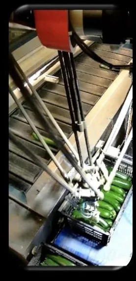 Pinza del robot cogiendo calabacín de la caja